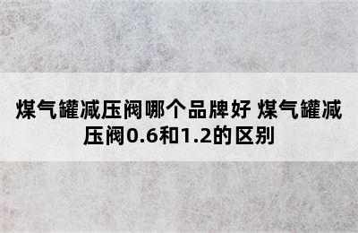 煤气罐减压阀哪个品牌好 煤气罐减压阀0.6和1.2的区别